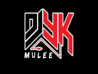 Dj Yk Mule – Sure Vendor