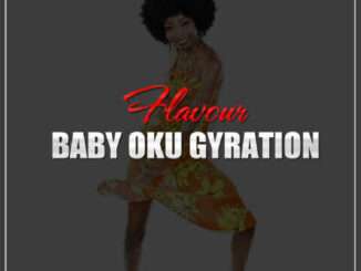 Flavour — Baby Oku Gyration