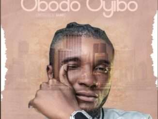 Sparkle Tee – Obodo Oyibo