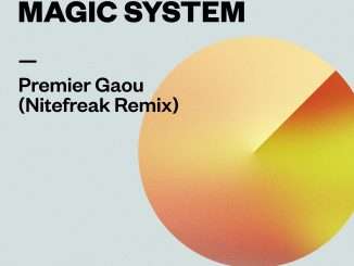 Francis Mercier – Premier Gaou (Nitefreak Remix) Ft. Magic System