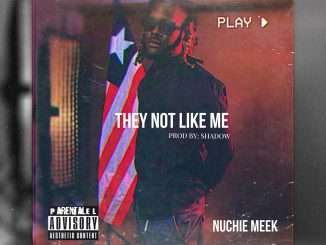 Nuchie Meek – They Not Like Me