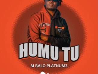 M Balo Platinumz – Humu