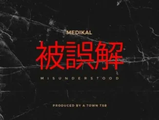 Medikal – Misunderstood