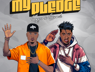 Spyro – My Pledge Ft. Suavé